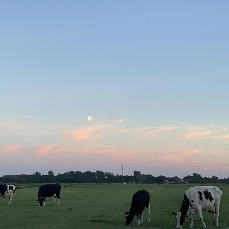 House Nr 69, Dichtbij 度假居 *