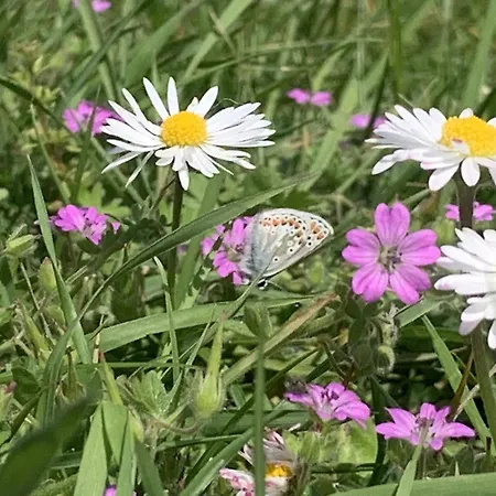 Vakantiehuis House Nr 69, Dichtbij Ouddorp