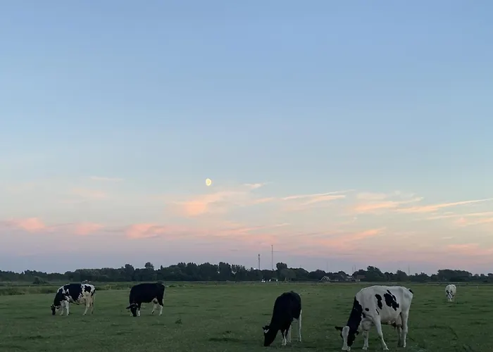 House Nr 69, Dichtbij Vakantiehuis *